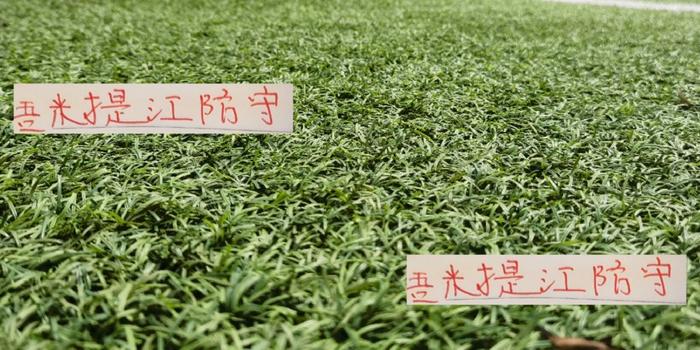 开云体育app下载-也是厉害哦!海港吾米提江的防守 能让澳大利亚球员难受